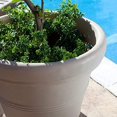 thumbnail image 2 of Crescent Garden Brunello Planter Classic Rolled-Rim Plant Pot 12-Inch (Weathered Stone), 2 of 5