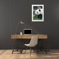 thumbnail image 3 of Looney, Hollice 13x18 White Modern Wood Framed Museum Art Print Titled - Asia-China-Sichuan Province-Cheng Du-Giant Panda, 3 of 4