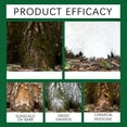 thumbnail image 2 of Tree Whitewash Paint for Trunks, 300g Ready-to-Use Tree Protector, Prevents Sunburn, Cracking & Insects, Long-Lasting for Fruit & Garden Trees (3 Pcs), 2 of 7