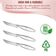 thumbnail image 3 of Smarty Silver Disposable Plastic Steak Knives 360ct, 3 of 5