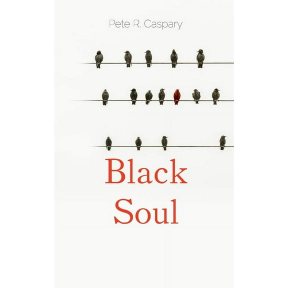 Black Soul: Ein Jahr im Leben von Popp, (Paperback)