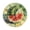 ZZNZ06029047, variant on Zhmjortal Apple Pattern Wall Clock Apple Pattern Bright Nature 10 Inch Silent Non Ticking Battery Operated Clock Vintage Round Clock for Living Room Bedroom Bathroom Office Decor