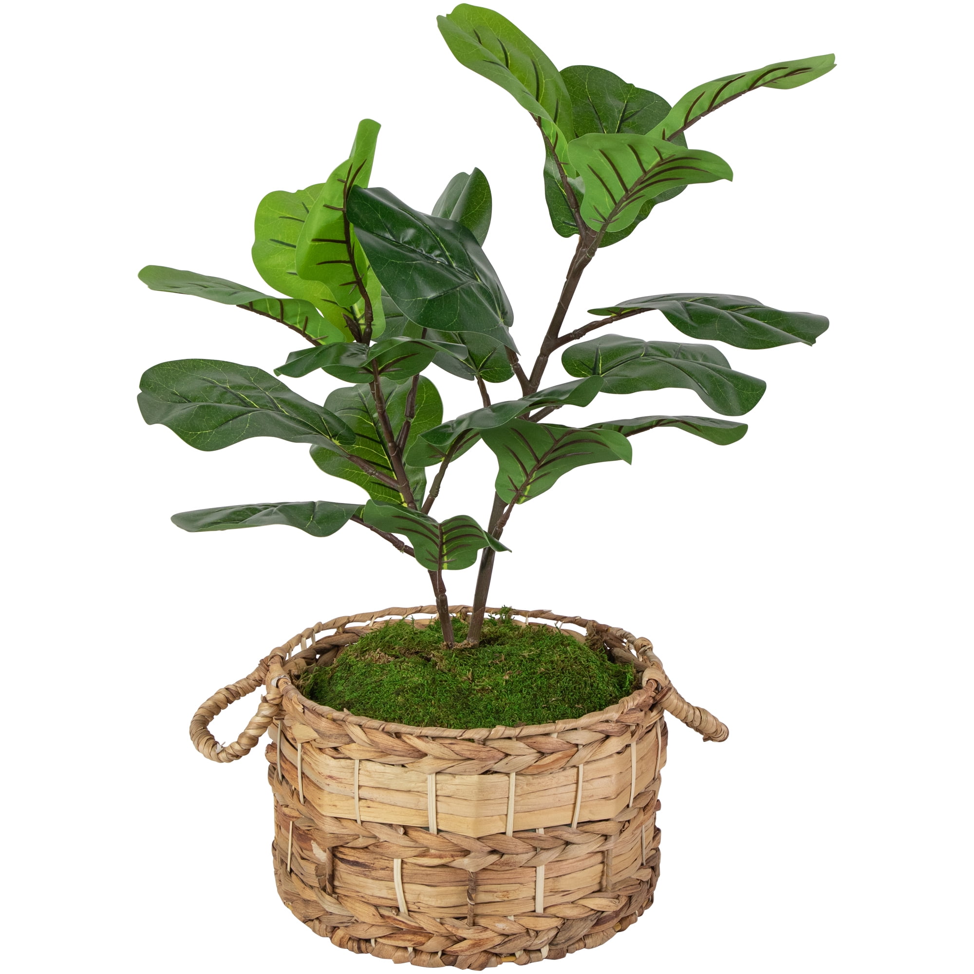 Northlight 29" Dark Green Artificial Fiddle Leaf Fig Potted Plant