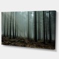 thumbnail image 2 of Gloomy Sunrays dans la Forêt Sombre - Impression sur Toile Paysage, 2 of 4