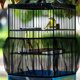 thumbnail image 3 of Universal Birdcage Cover Seed Catcher Nylon Mesh Parrot Cage Skirt (not Include Birdcage), 3 of 4