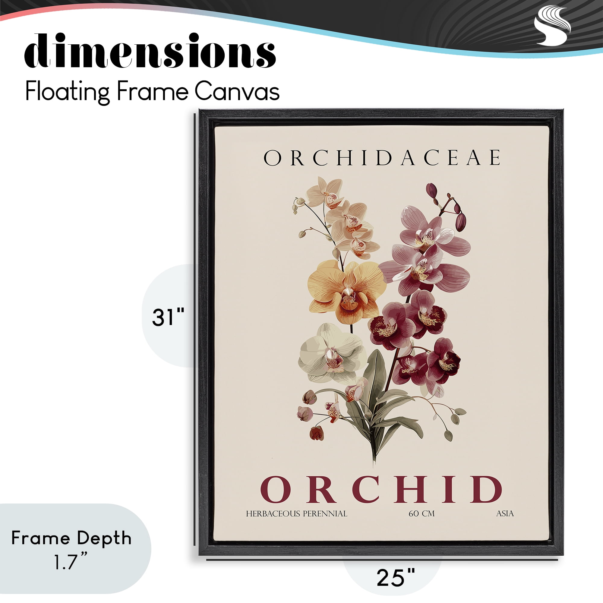 Stupell Industries Natural Orchid Bundle Black Framed Floater Canvas Wall Art, design by Christopher Giampietro