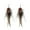 Style D, variant on Bohemian Style Boho Multicolor Pheasant Feathers Dangle Earrings for Women (er006359-1)