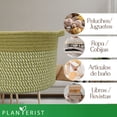 thumbnail image 4 of Planterist Cesta Organizadora Mediana Tejida – Algodón Lavable, Plegable y Portable – Multiusos 30x18.5 cm para Almacenaje, Decoración y Ropa Sucia (Navojoa), 4 of 9