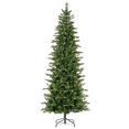 thumbnail image 1 of 6.5' x 36" Wistler Spruce 1886Tips, 1 of 1