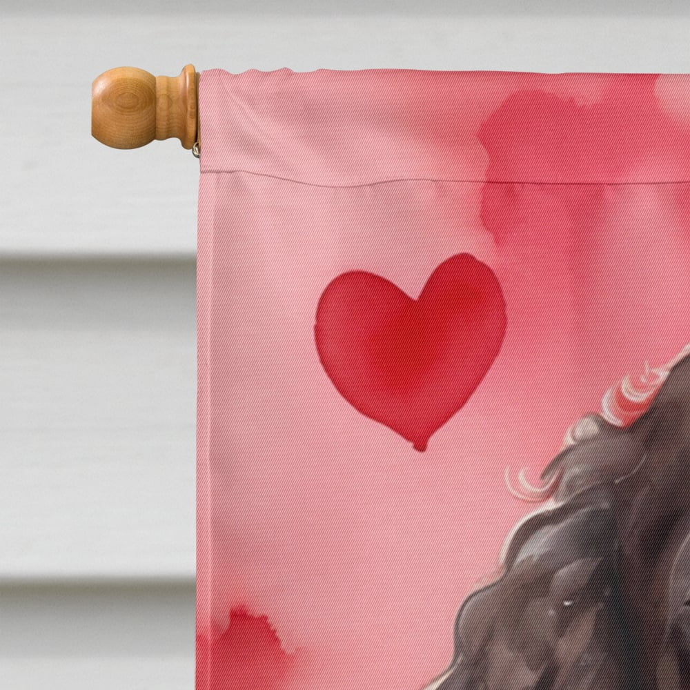 Caroline's Treasures DAC5266CHF American Water Spaniel My Valentine House Flag Large Porch Sleeve Pole Decorative Outside Yard Banner Artwork Wall Hanging, Polyester, House Size, Multicolor