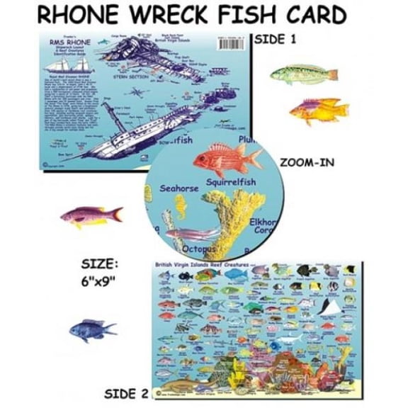 Franko Maps - RMS Rhone Wreck/BVI Reef Fish ID