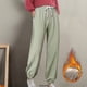 thumbnail image 1 of Pantalones gruesos de forro polar para mujer, pantalón Harlan informal, Pantalones rectos versátiles, pantalones de chándal cálidos hasta el tobillo, moda, nuevo, 1 of 4