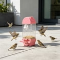 Photo inspiration: Fresh Look at Automatic Bird Feeder Plastic Transparent Triangular Parrot Feeder