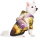 thumbnail image 2 of Balery Daisy Sunflower Lazy Cat Sudadera con Capucha para Perros Pequeños – Ropa para Mascotas, Disfraz para Perros y Gatos, Ideal para Fiestas y Cosplay-X-Large, 2 of 7