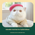 thumbnail image 3 of Abbraccia Sombrero ajustable para mascotas, 3 of 6