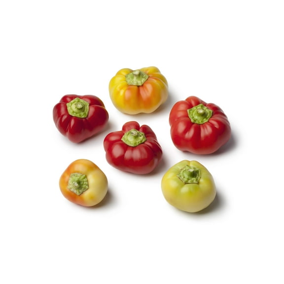 25 Seeds - ALMA PAPRIKA PEPPER White Orange Red Hungarian Cherry Capsicum Annuum Seeds