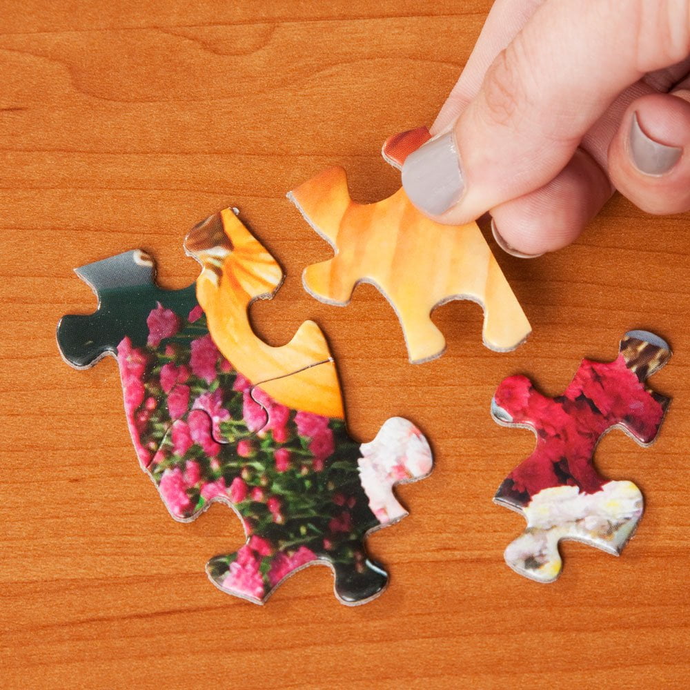Bits and Pieces Set of 4 Jigsaw Puzzles for Adults - 300 Pieces Each by Oleg Gavrilov 16" x 20"