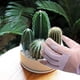 thumbnail image 5 of Guantes de jardinería para mujeres/hombres, poda de rosas, espinas y cortes, longitud del codo rosas y arbustos espinosos, blanco rosa WD.WDQZL Ropa, 5 of 5