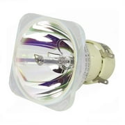 Lutema Platinum lampe pour Optoma GT5000+ Projecteur (ampoule Philips originale)