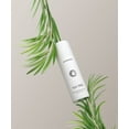 thumbnail image 3 of Bursera Organic Tea Tree Essential Oil, 3 of 5