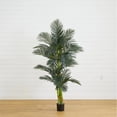 thumbnail image 2 of Nearly Natural 72" Golden Cane Artificial Palm Tree in Green/Black, 2 of 5
