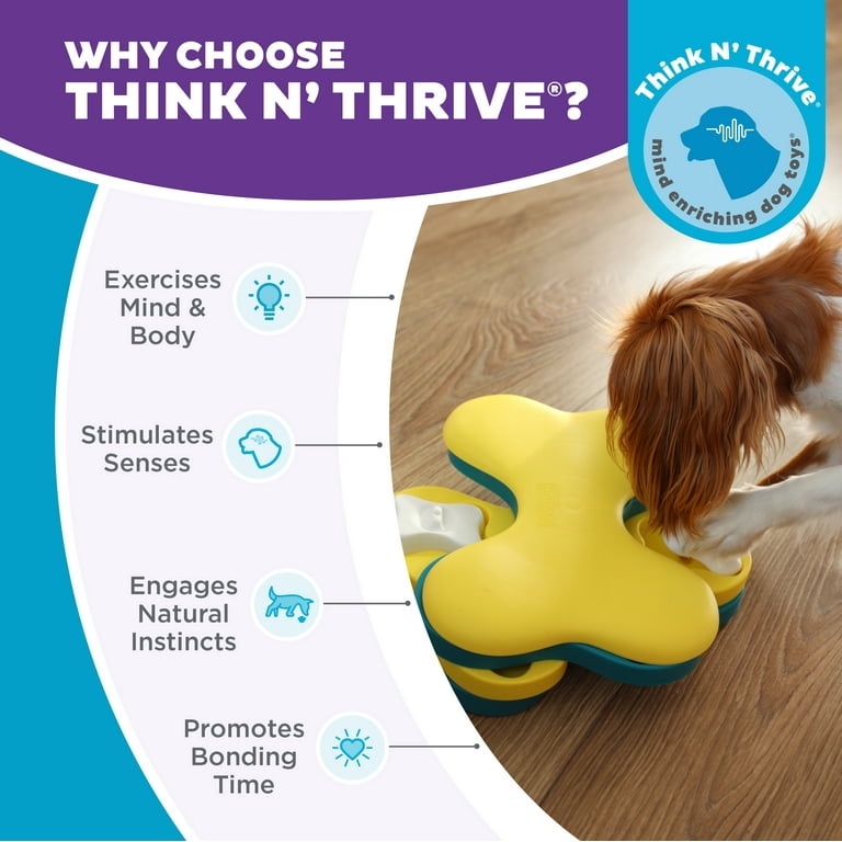 Nina Ottosson Interactive Dog Puzzle Toy, Tornado Level 2 Brain