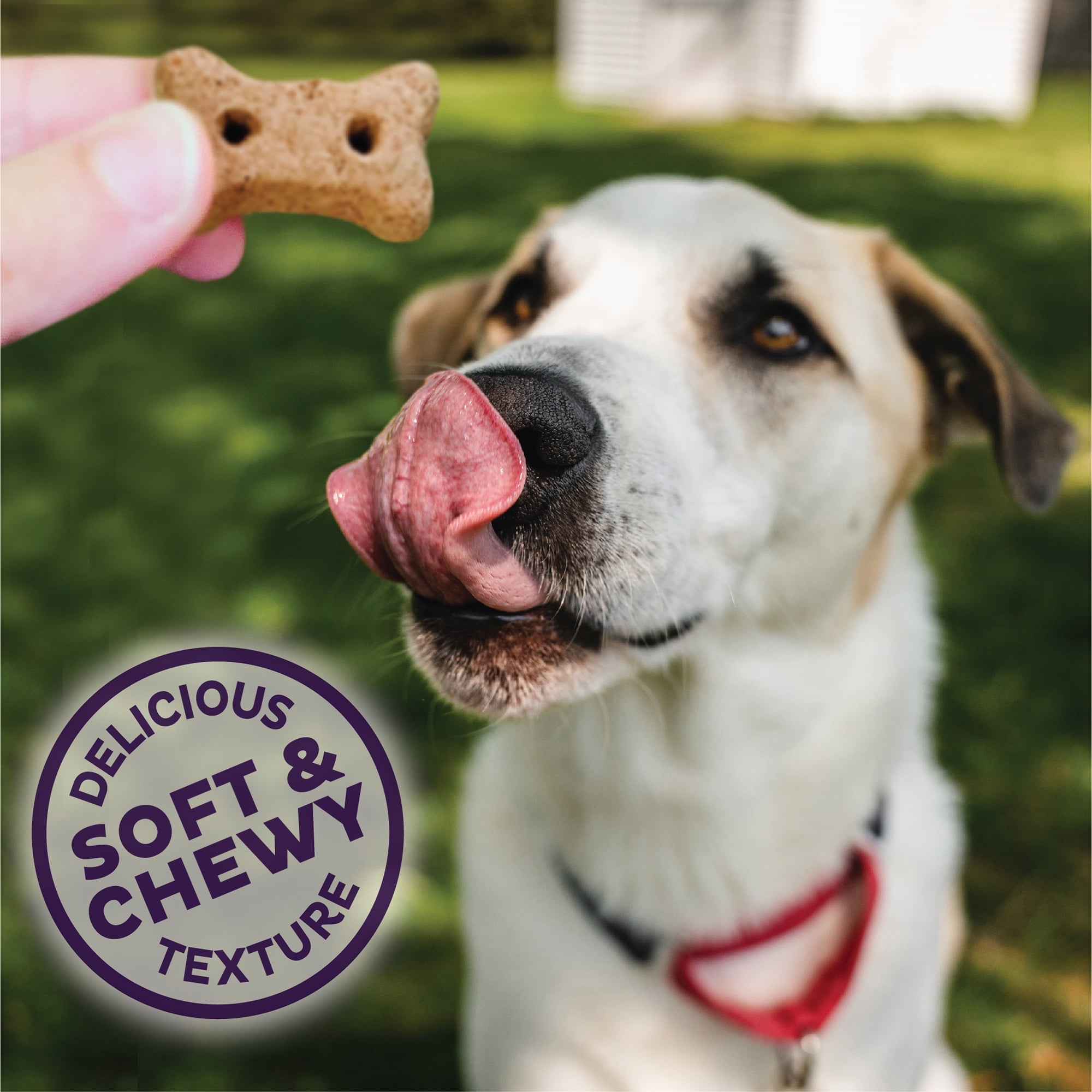 Old Mother Hubbard by Wellness Soft & Chewy Pleas'n P.B.Bacon Natural Mini Dog Treats, 8 oz bag