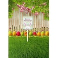 thumbnail image 4 of Eveokoki Easter Yard Signs Decorations Outdoor Easter Blessings Bunny Yard Stake Signs Easter Lawn Décor for Easter Hunt Game, Party Supplies DÈcor, Easter Props 17.6", 4 of 5