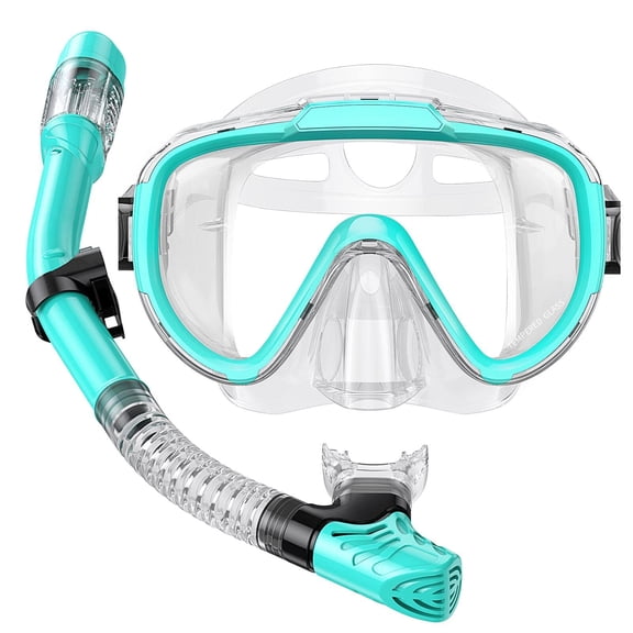 Snorkel Set Adults Snorkeling Gear Anti-Fog Panoramic View Swim Mask Dry Top Snorkel Kit with Carry Bag for Snorkeling Scuba Diving Swimming Travel