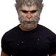 thumbnail image 2 of Tocado Del Rey Mono Cosplay 125409788 (Wukong), 2 of 9