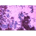thumbnail image 1 of Ahgly Company Indoor Rectangle Abstract Purple Modern Area Rugs, 4' x 6', 1 of 4