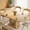 Wood Color, variant on Patbrela 43.3"–59" Extendable Dining Table with Storage, Oval Dining Room Table for 4-6, Space-Saving Kitchen Table with Removable Leaves for Kitchen & Living Room, Natural