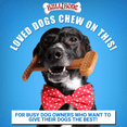 thumbnail image 7 of Bullibone Large Beef Flavored Dental Chew Toy for Dogs, 7 of 7