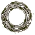 thumbnail image 1 of Northlight Twig and Moss Artificial Weathered Spring Wreath - 14.5", 1 of 6
