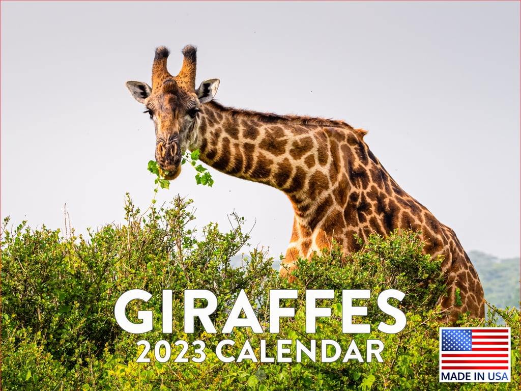 Giraffe Calendar 2023 Monthly Wall Hanging Calendars Wild Animals Cute