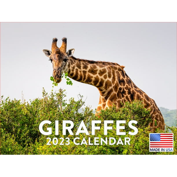 Giraffe Calendar 2023 Monthly Wall Hanging Calendars Wild Animals Cute