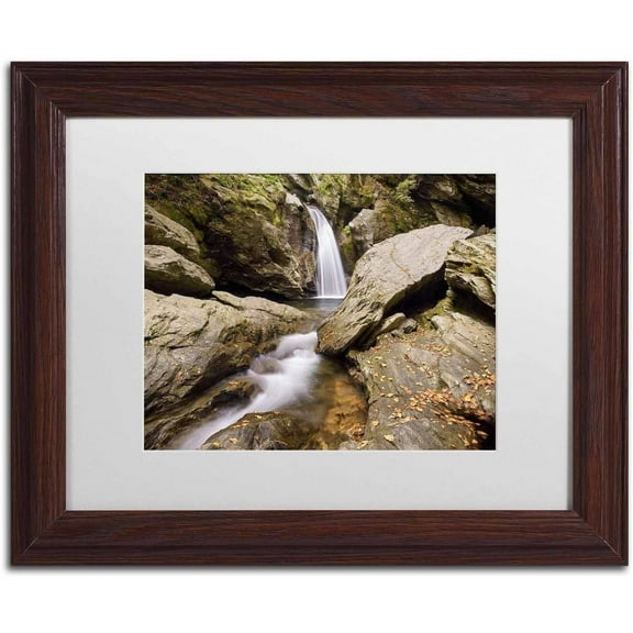 Trademark Fine Art 'Over and Under' Canvas Art by Michael Blanchette Photography, White Matte, Wood Frame