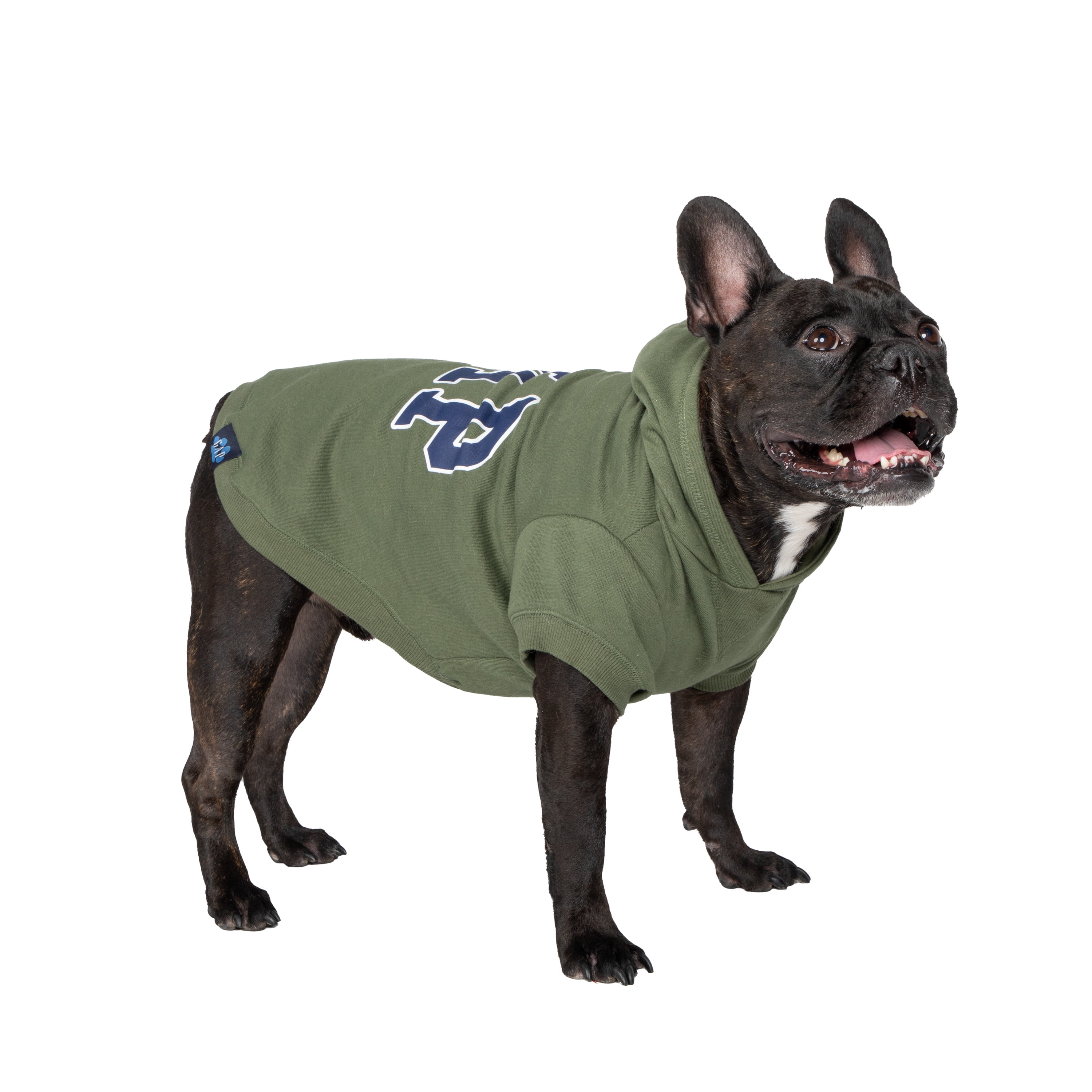 Gap Pet, Dog Clothes, Green Classic Pet Hoodie