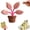 1pcs-pink, variant on Magnetic Chip Clips Tree Leaf Shaped Bag Clips, Decorative Kitchen Organizer Cute Flower Petal Leaf Magnetic Chip Clips for Food Storage, Fridge, Office & Home Use