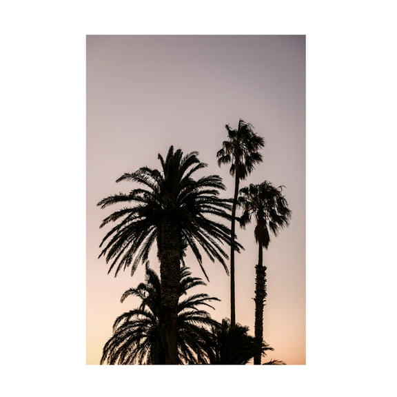 Trademark Fine Art Shot by Clint Sea Point Canvas Wall Art