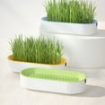 thumbnail image 5 of ACDANC Hydroponic Cat Grass Box Cat Treats Catnip Hydroponic Soilless Cat Cat Grass Seeds, 5 of 7