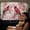 American Cardinal Bird Peach Blossom, variant on SEANATIVE Car Side Window Sun Shade Double-Layers Full Privacy/Semi-Transparent Options Car Window Privacy Curtain UV Protection Auto Sunshade Covers, Colorful Daisy Black Cat