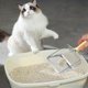 thumbnail image 2 of Mesh Scooper Stainless Steel Cat Litter Scoop with Ergonomic Grip, 2 of 5