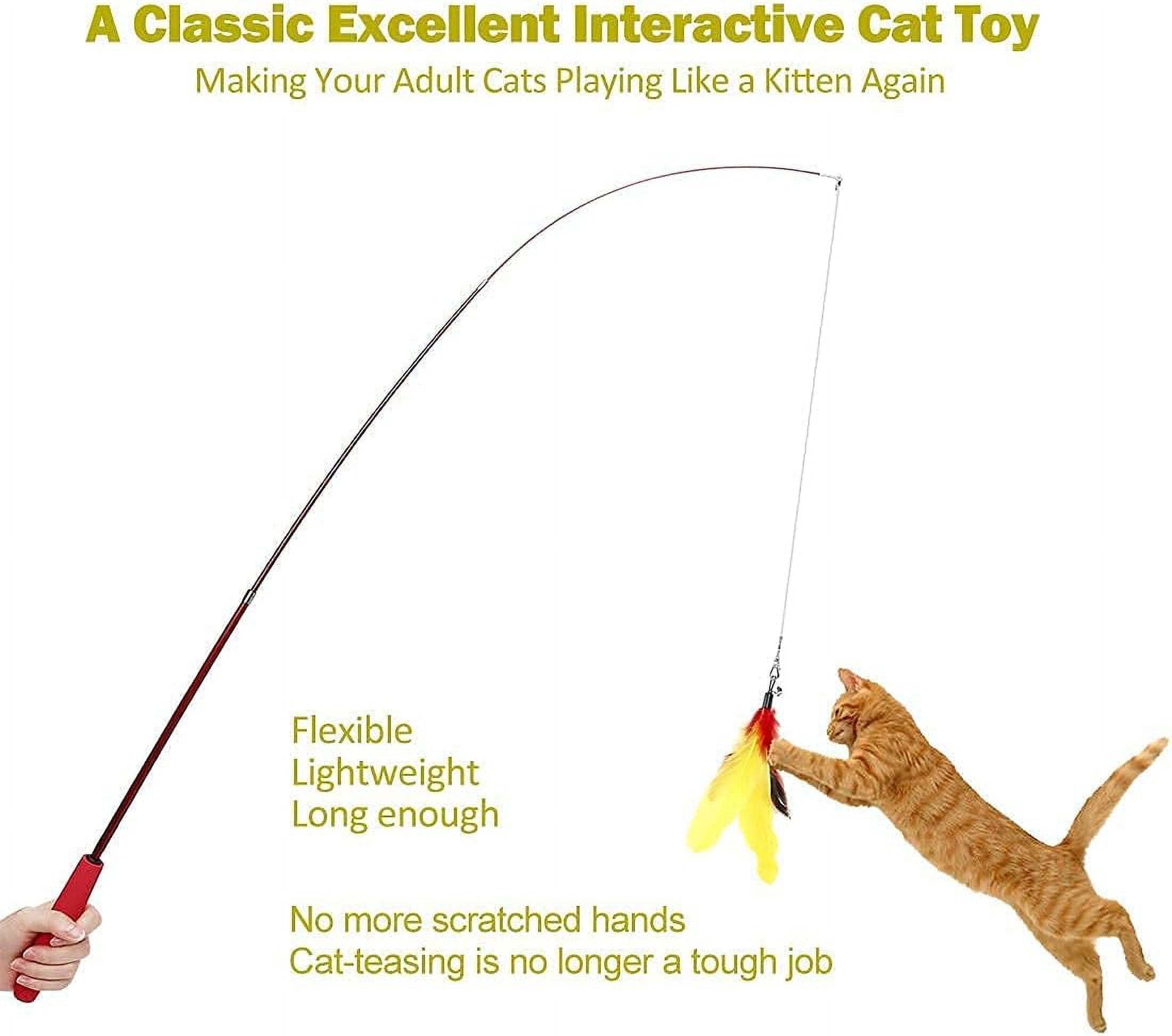Retractable Cat Feather Wand Toys Pack and 10PCS Squiggly Worm Replacement Refills, Interactive Cat Toys for Indoor Cats Kitten Playing Chase and Exercise Playing, Total 24PCS