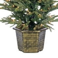 thumbnail image 5 of 4.5 ft. Pre Lit Clear UL Potted Natural Cut Eastern Pine, 5 of 5