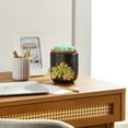 thumbnail image 2 of Better Homes & Gardens Full Size Fragrance Warmer, Succulent, 2 of 7