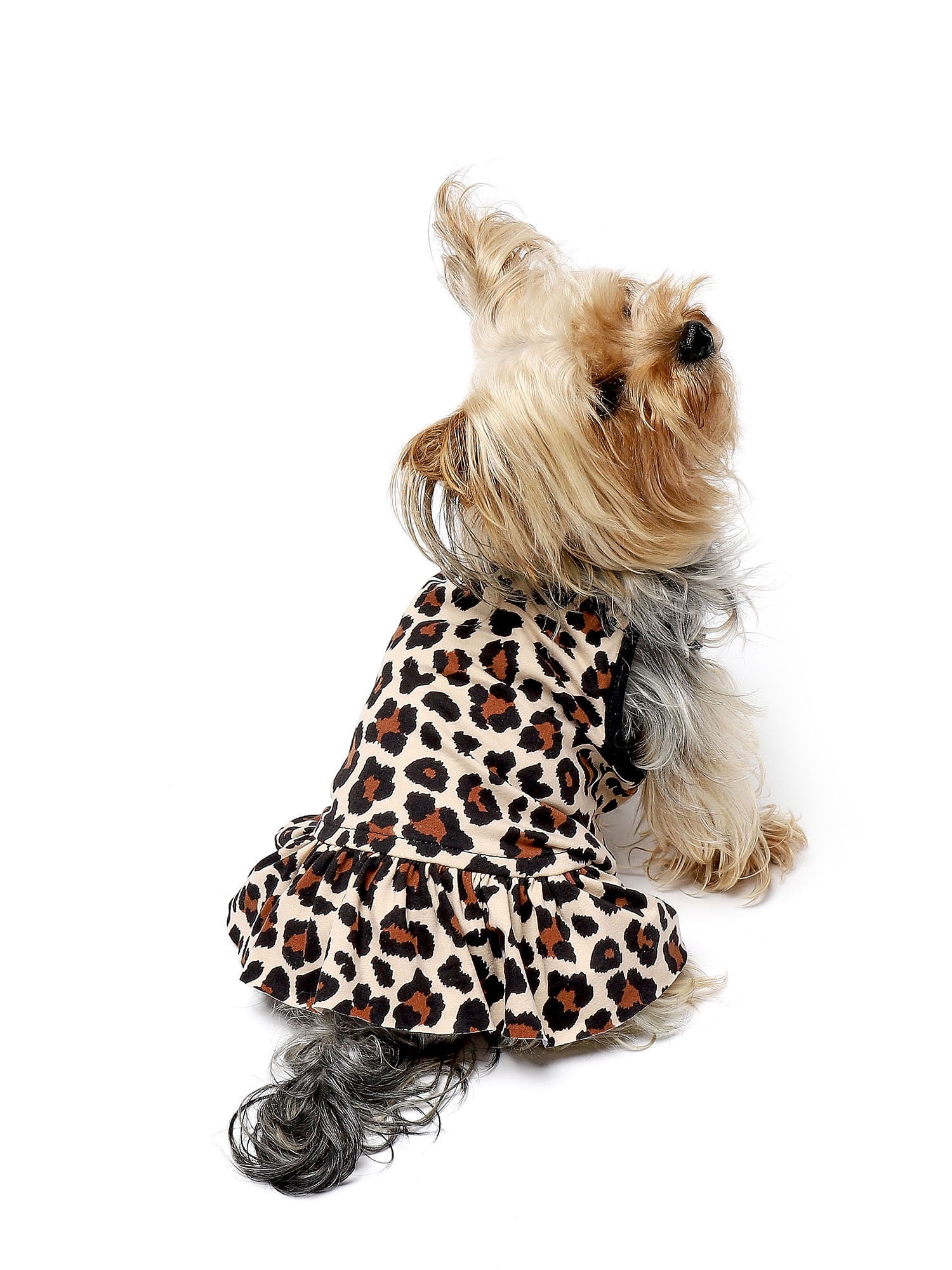 CANINI by Baguette Leopard Print Sundress, Small