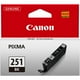 thumbnail image 5 of Cartuchos de tinta Canon PGI-250XL PGBK y CLI-251 negros, 5 of 6