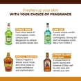 thumbnail image 5 of Clubman Pinaud Eau De Cologne, Lime Sec, 12.5 Fluid Ounce Clubman Pinaud FRAGANCIA, 5 of 5