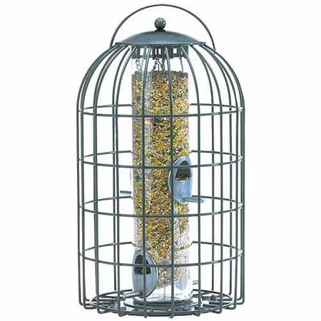 The Nuttery Classic Extra Large Squirrel Resistant Seed Bird